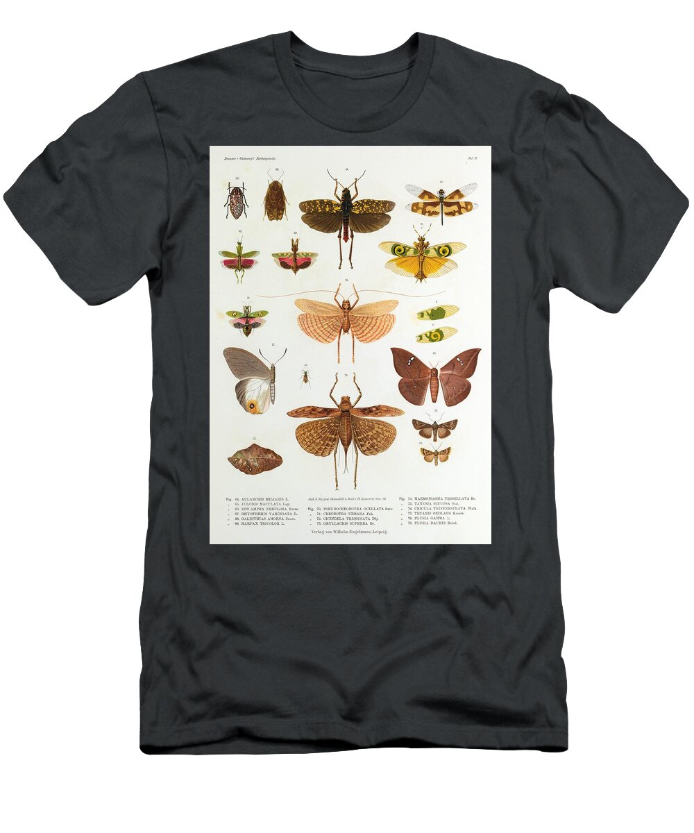 9 Insects Beautiful Nature Prints T-Shirt