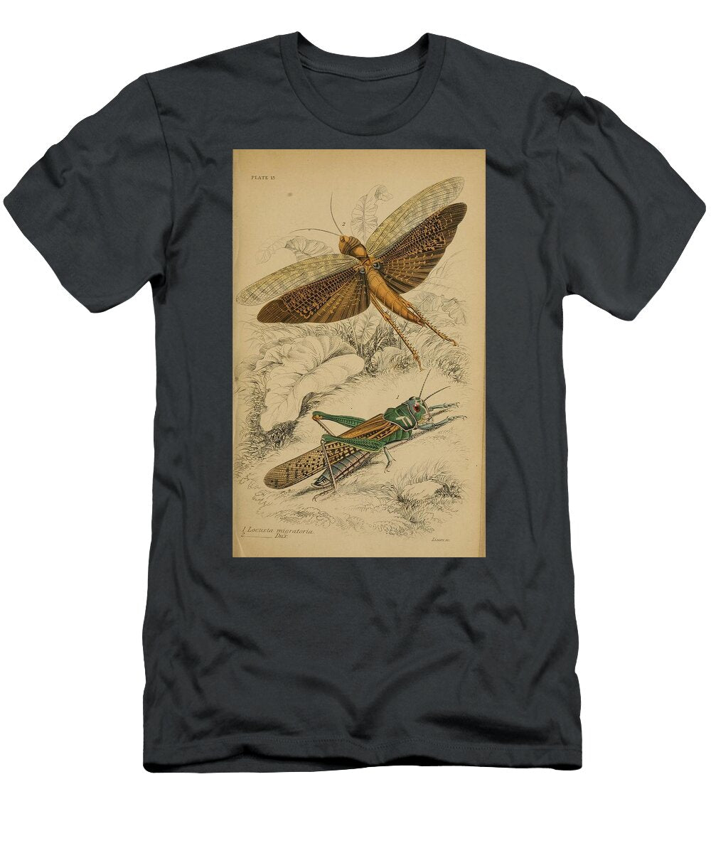 90 Insects Beautiful Nature Prints T-Shirt