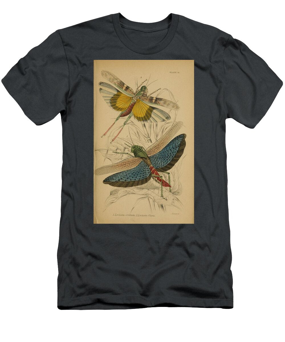 91 Insects Beautiful Nature Prints T-Shirt