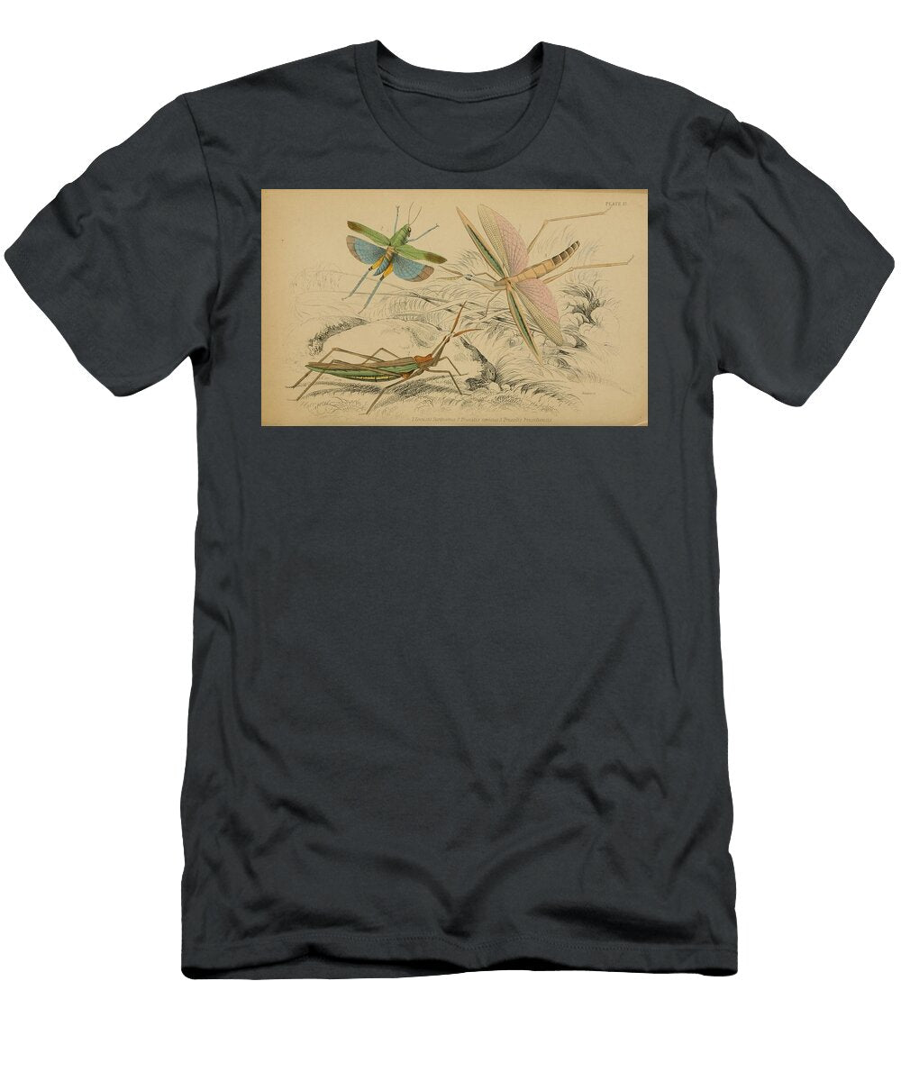 92 Insects Beautiful Nature Prints T-Shirt