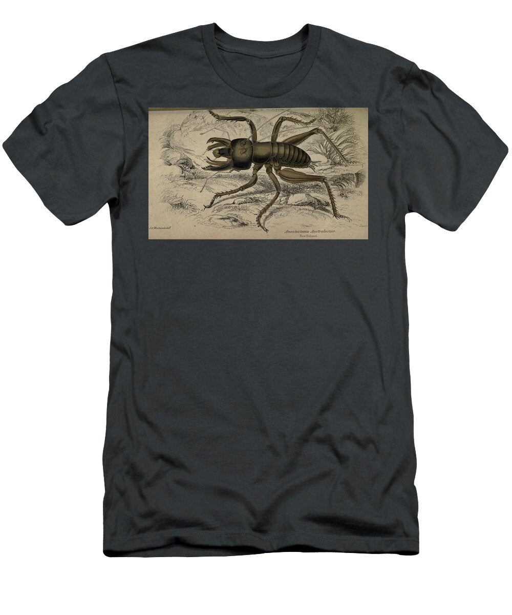 93 Insects Beautiful Nature Prints T-Shirt