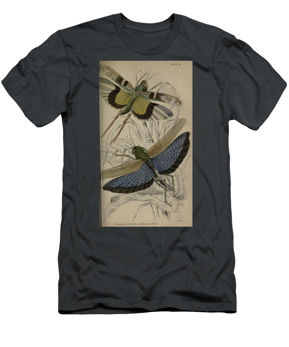 94 Insects Beautiful Nature Prints T-Shirt