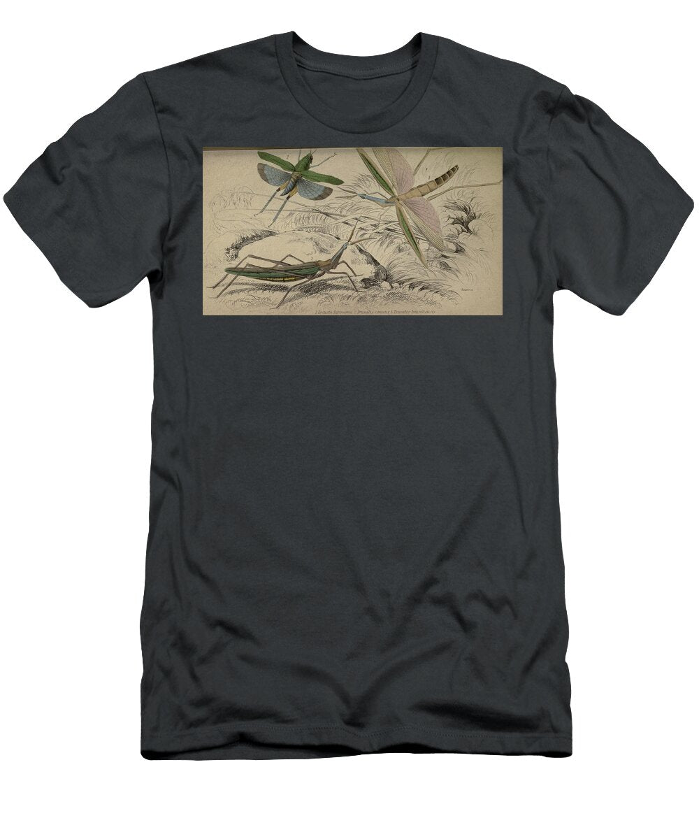 95 Insects Beautiful Nature Prints T-Shirt
