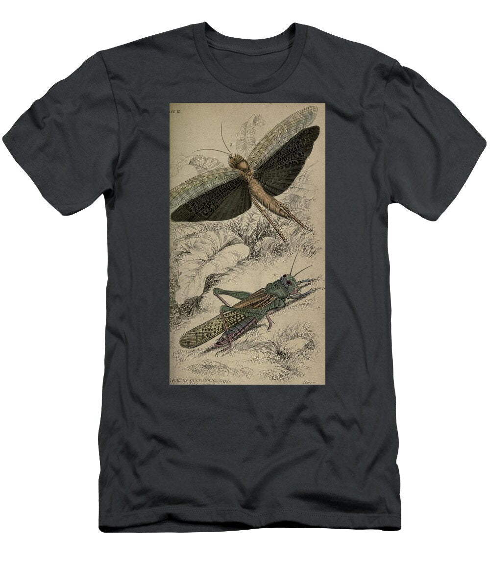 96 Insects Beautiful Nature Prints T-Shirt