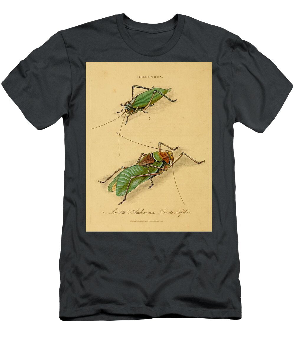97 Insects Beautiful Nature Prints T-Shirt