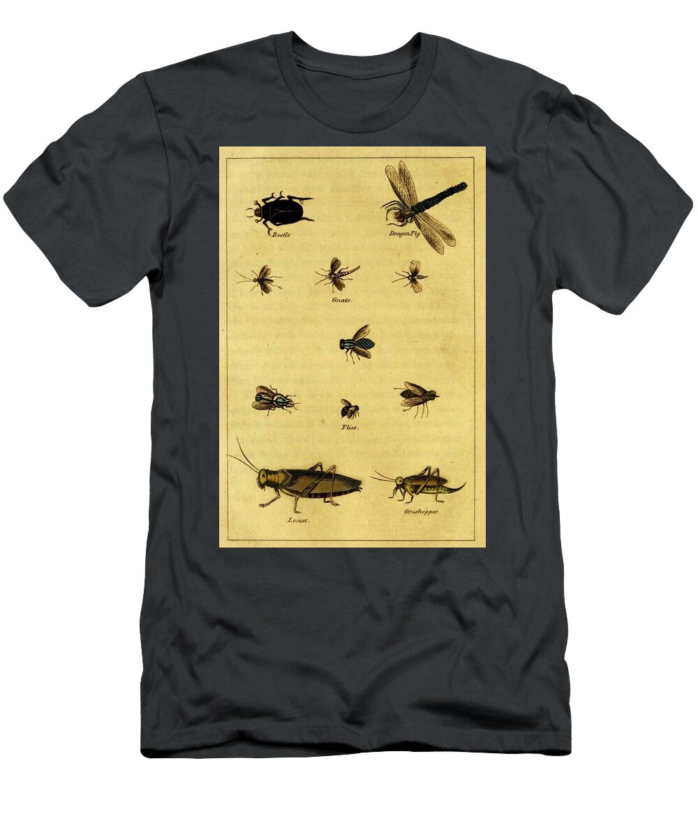 98 Insects Beautiful Nature Prints T-Shirt