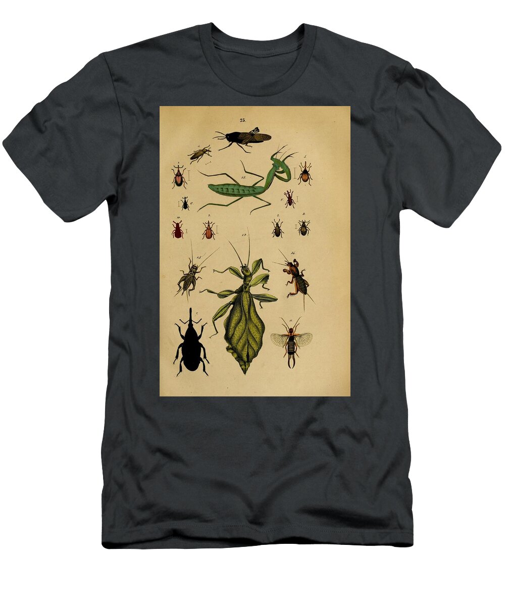 99 Insects Beautiful Nature Prints T-Shirt