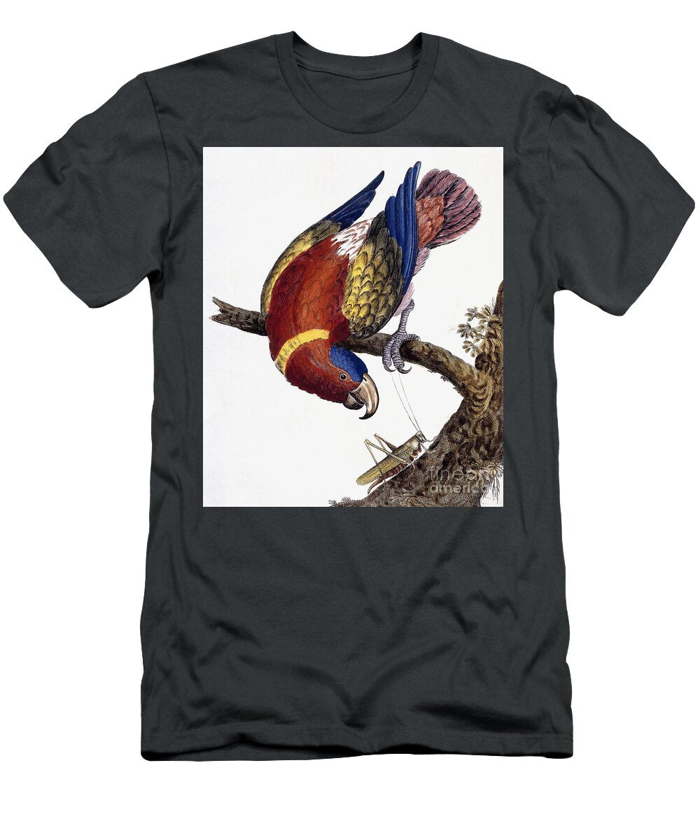 A Parrot Eleazar Albin T-Shirt