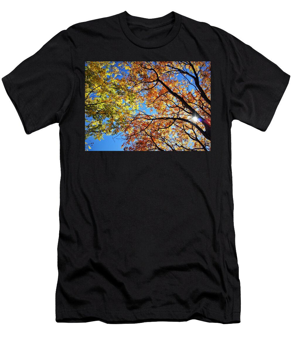 Autumn Afternoon Cricket Hackmann T-Shirt
