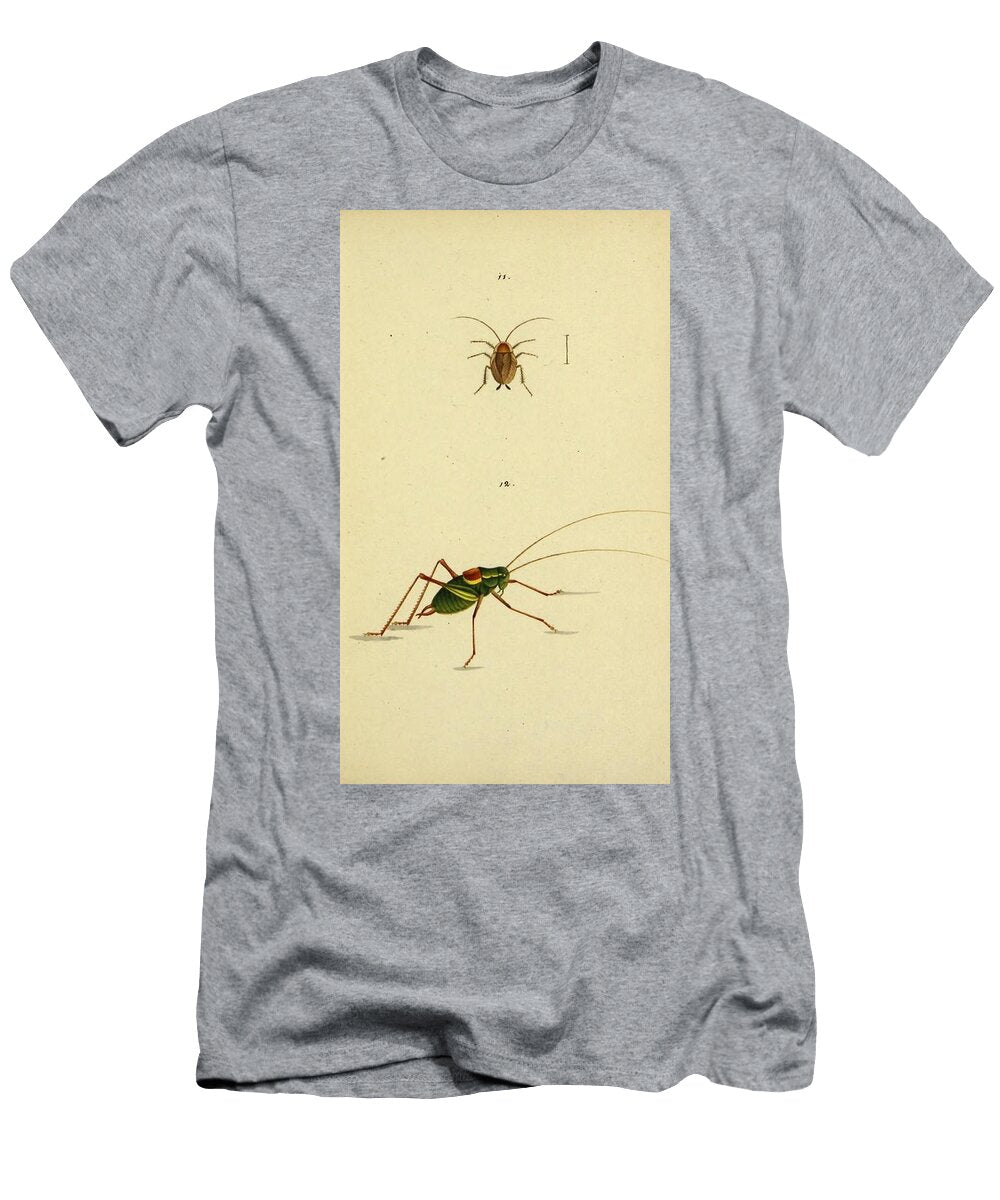 Blatta Locusta Beautiful Nature Prints T-Shirt