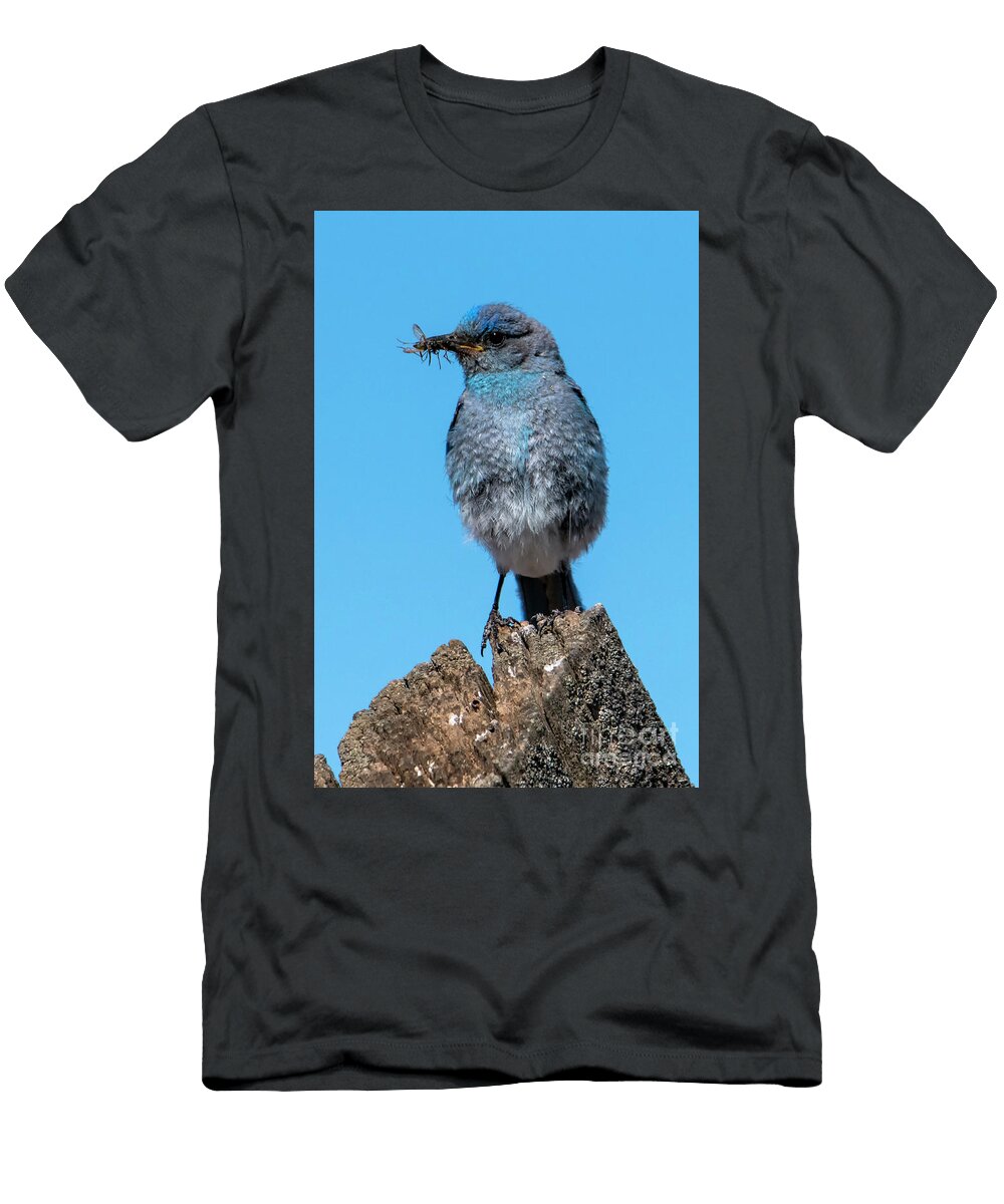 Bluebird Dinner Mike Dawson T-Shirt