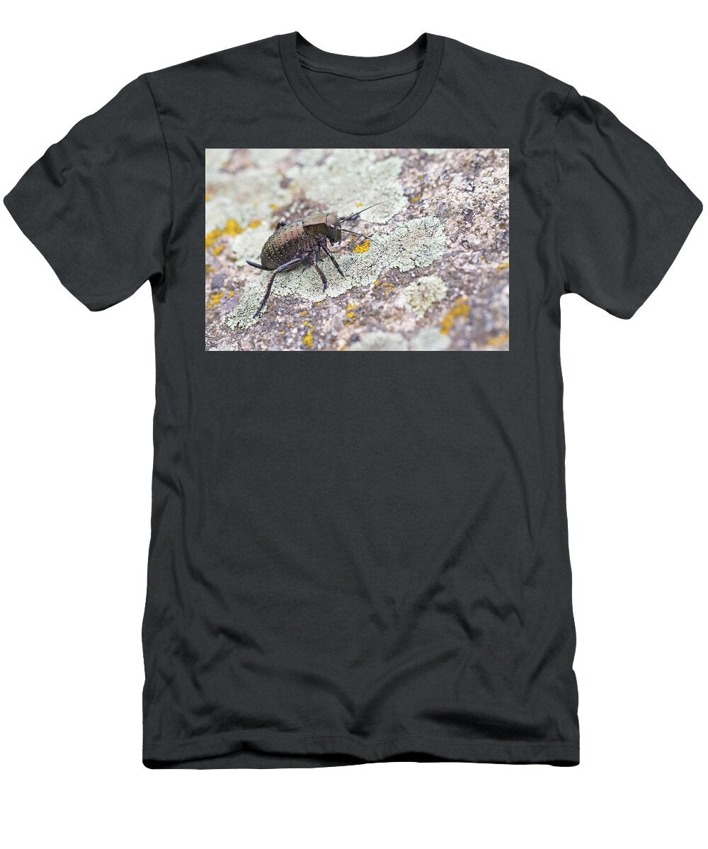 Bronze Glandular Bush Cricket Romania Robin Chittenden Natureplcom T-Shirt