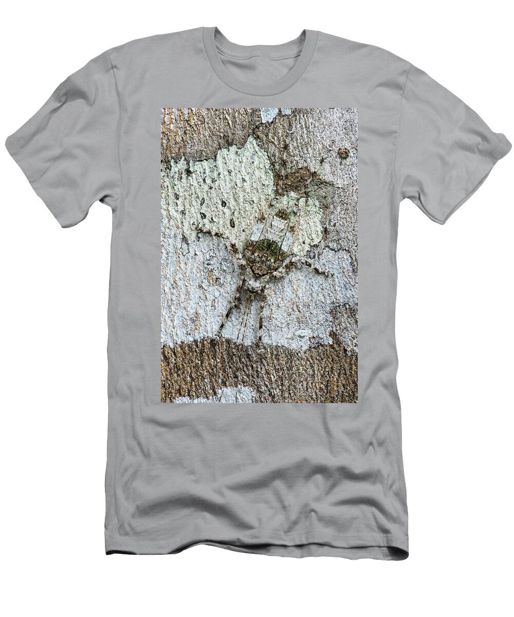 Bush Cricket Katydid Immature Instar Camouflaged Against Nick Garbutt Natureplcom T-Shirt
