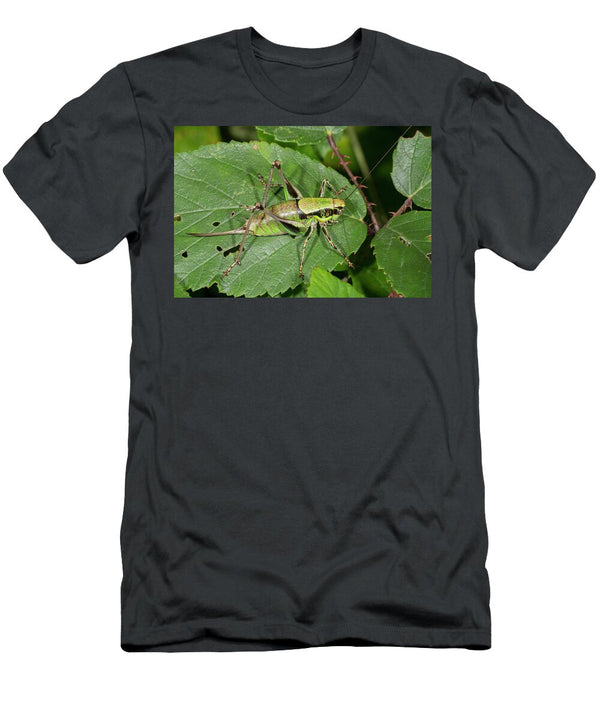 Bush Cricket Resting on a Leaf Nr Orvieto Umbria Italy Paul Harcourt Davies Natureplcom T-Shirt