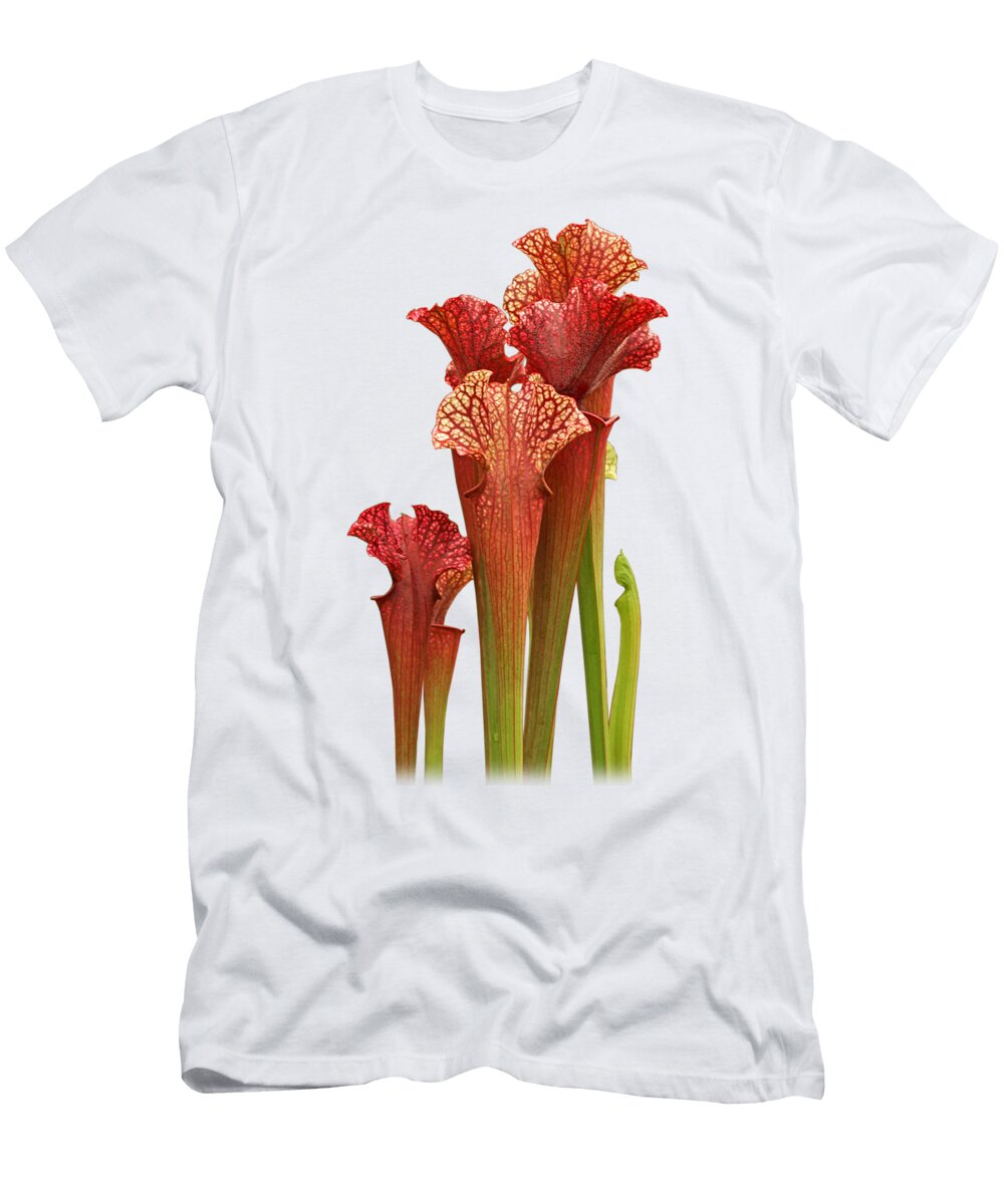 Come Into My Parlour Carnivorous Sarracenia Gill Billington T-Shirt