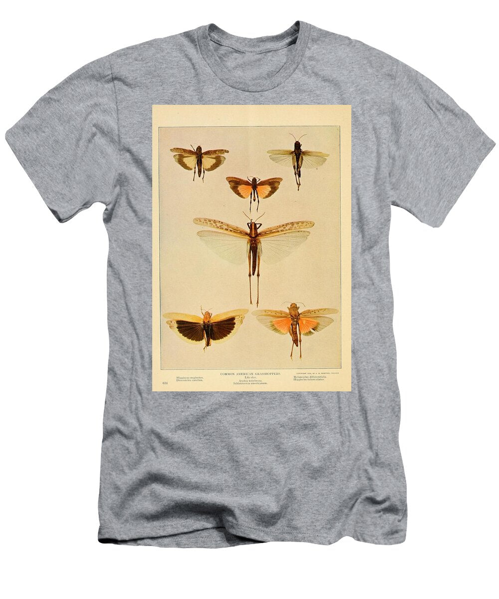Common Grasshoppers Beautiful Nature Prints T-Shirt