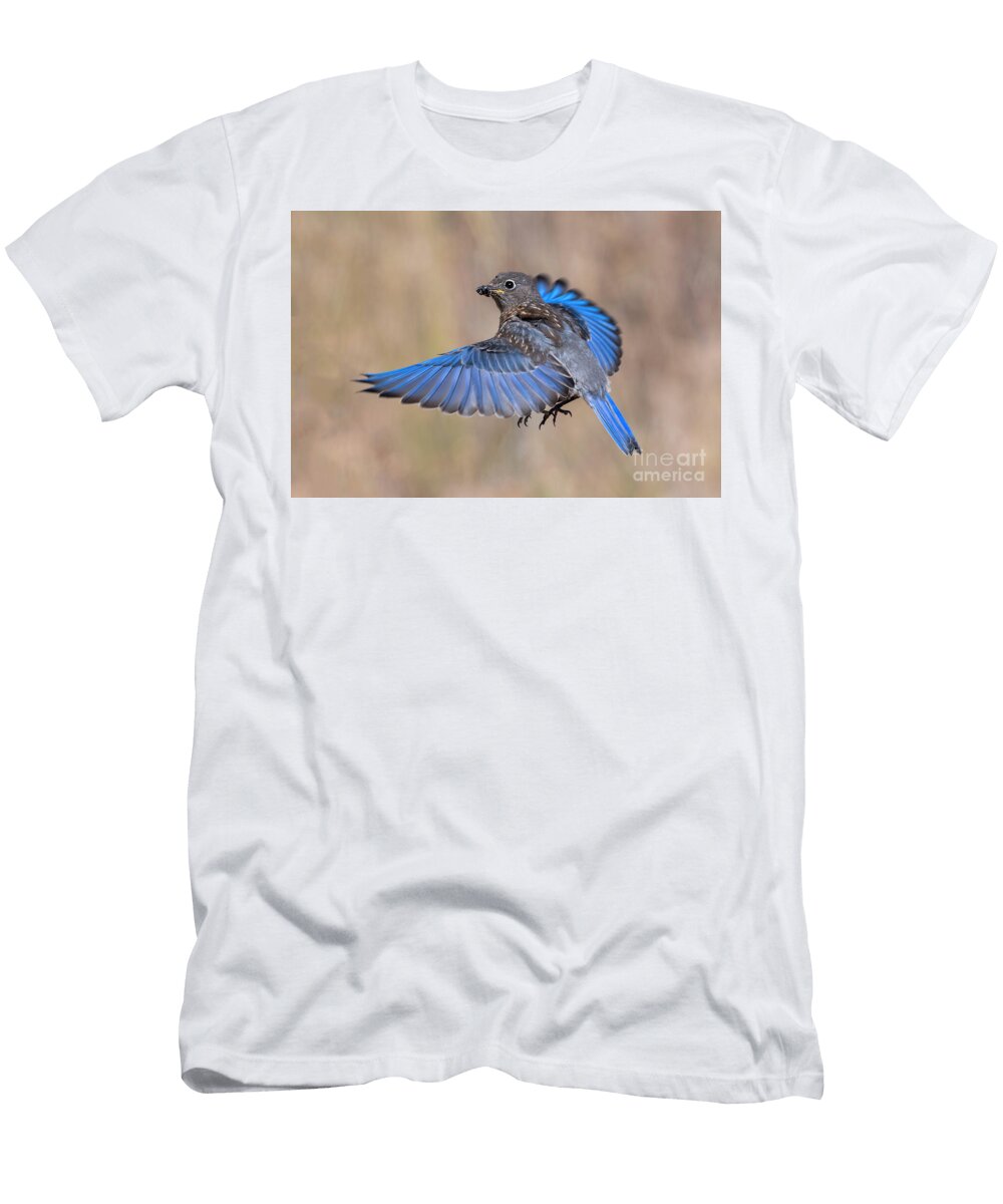 Cricket Delivery Michael Dawson T-Shirt