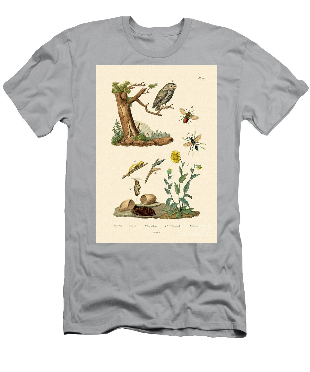 Cricket Hunter Wasp 1833 39 French School T-Shirt