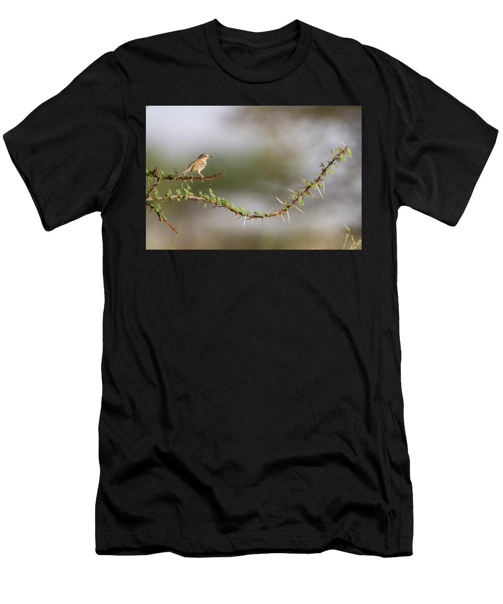 Cricket Warbler Perched on a Thorny Branch Aousserd Ugo Mellone Natureplcom T-Shirt