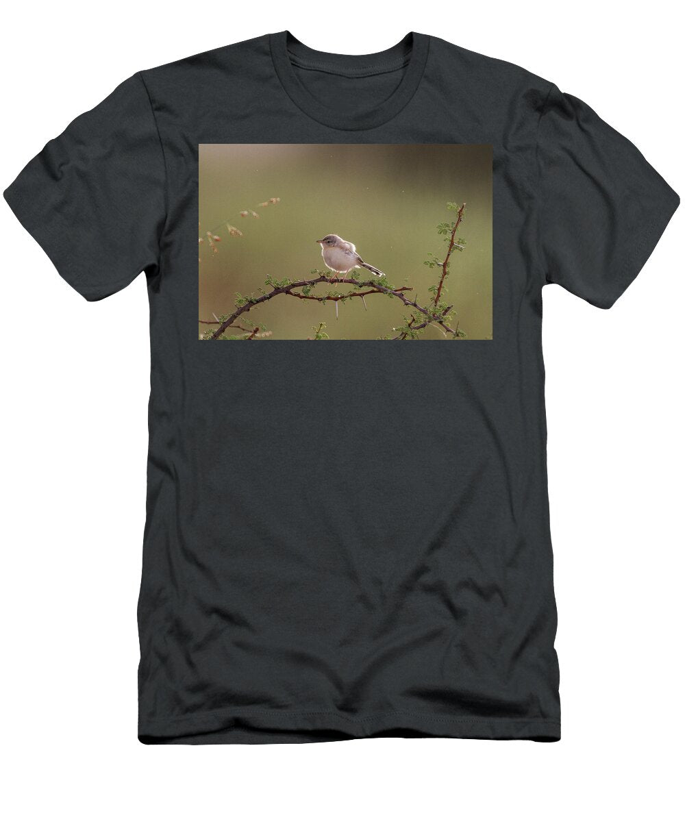 Cricket Warbler Perched on a Thorny Bush Aousserd Western Ugo Mellone Natureplcom T-Shirt