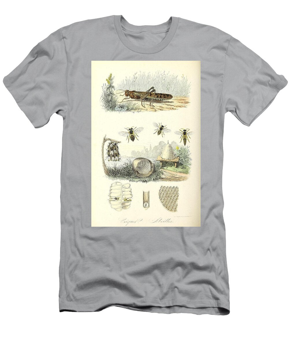 Cricket Wasps Beautiful Nature Prints T-Shirt
