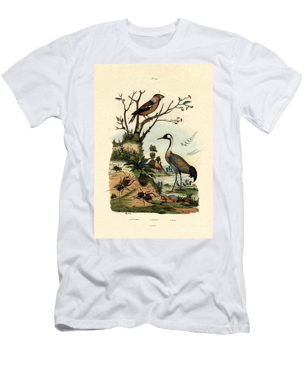 Crickets 1833 39 French School T-Shirt
