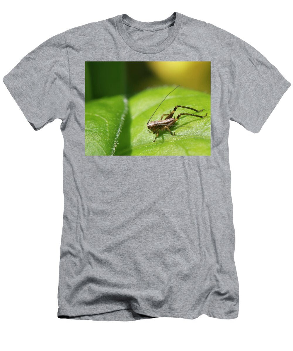 Dark Bush Cricket First Instar Nymph Sunning on a Nick Upton Natureplcom T-Shirt
