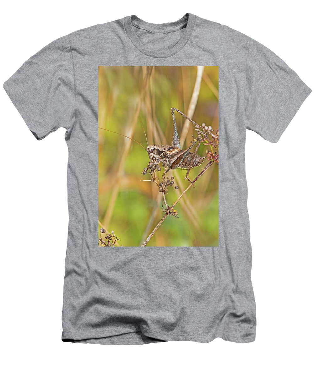 Dark Bush Cricket Hutchinsons Bank New Addington London Rod Williams Natureplcom T-Shirt