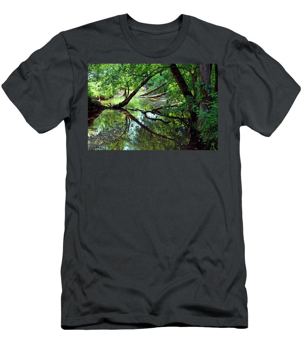 Devils Icebox Stream Cricket Hackmann T-Shirt