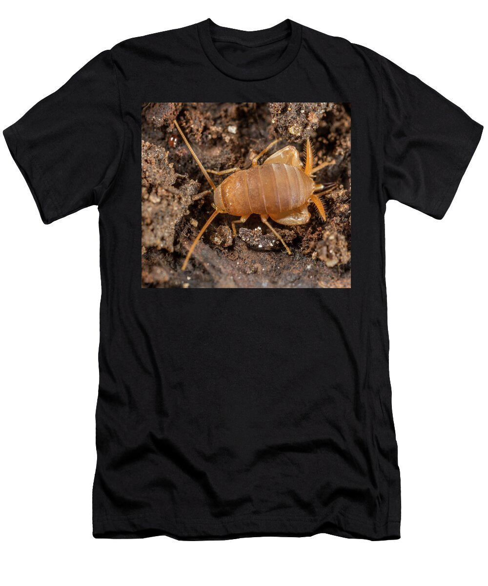 Eastern Ant Cricket Portrait Pennsylvania USA Doug Wechsler Natureplcom T-Shirt