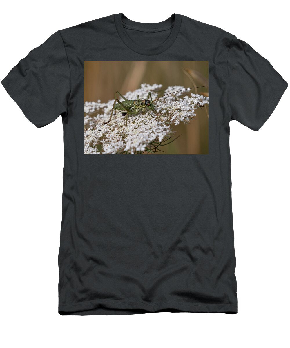 Elegant Saddle Bush Cricket Resting on Flowers Tolfa Paul Harcourt Davies Natureplcom T-Shirt