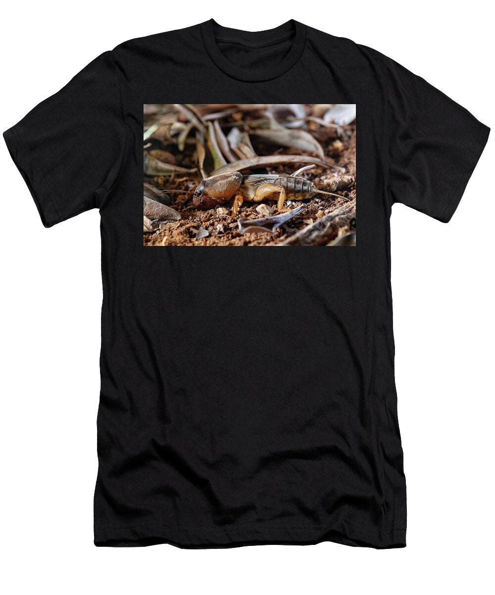 European Mole Cricket Majorca Nick Upton Natureplcom T-Shirt