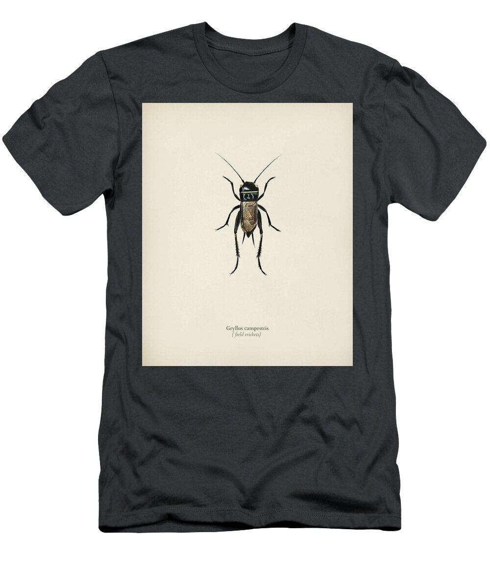Field Crickets Gryllus Campestris Illustrated By Charles Dessalines D Orbigny 1806 1876 2 Celestial Images T-Shirt
