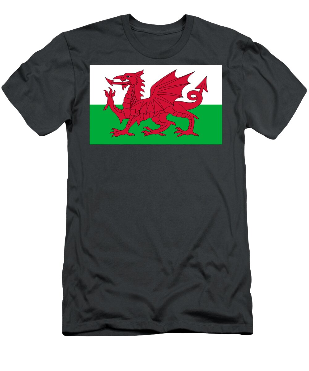 Flag of Wales Tom Hill T-Shirt