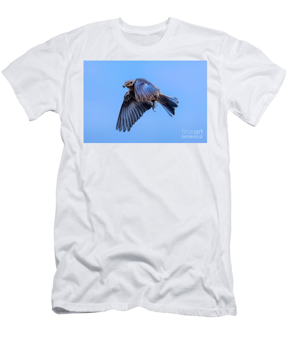 Food for the Chicks Michael Dawson T-Shirt