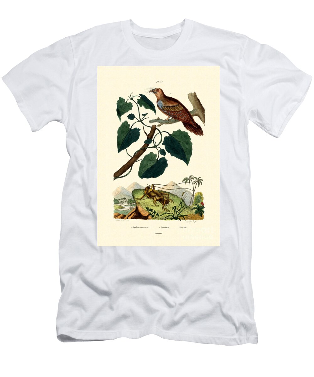 Giant Cricket 1833 39 French School T-Shirt