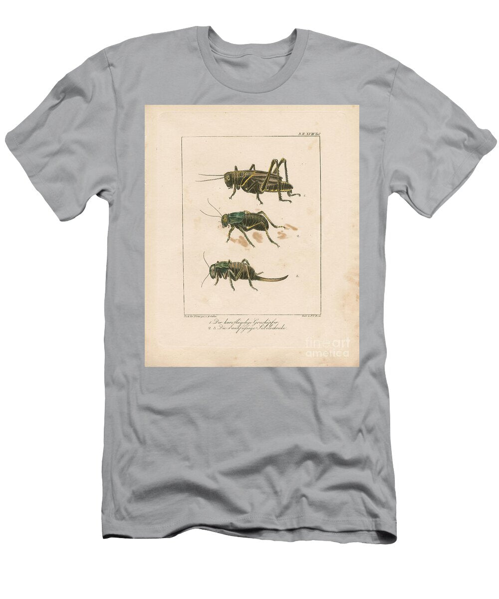Grasshopper and Bush Crickets Hand Coloured Copperplate Engraving Ambrosius Gabler T-Shirt