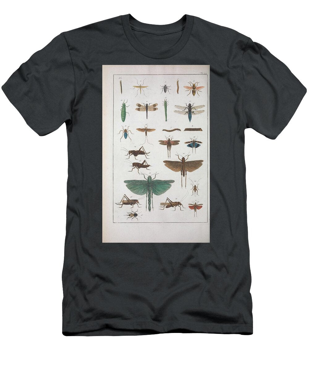 Grasshopper Locust Dragon Fly Beautiful Nature Prints T-Shirt