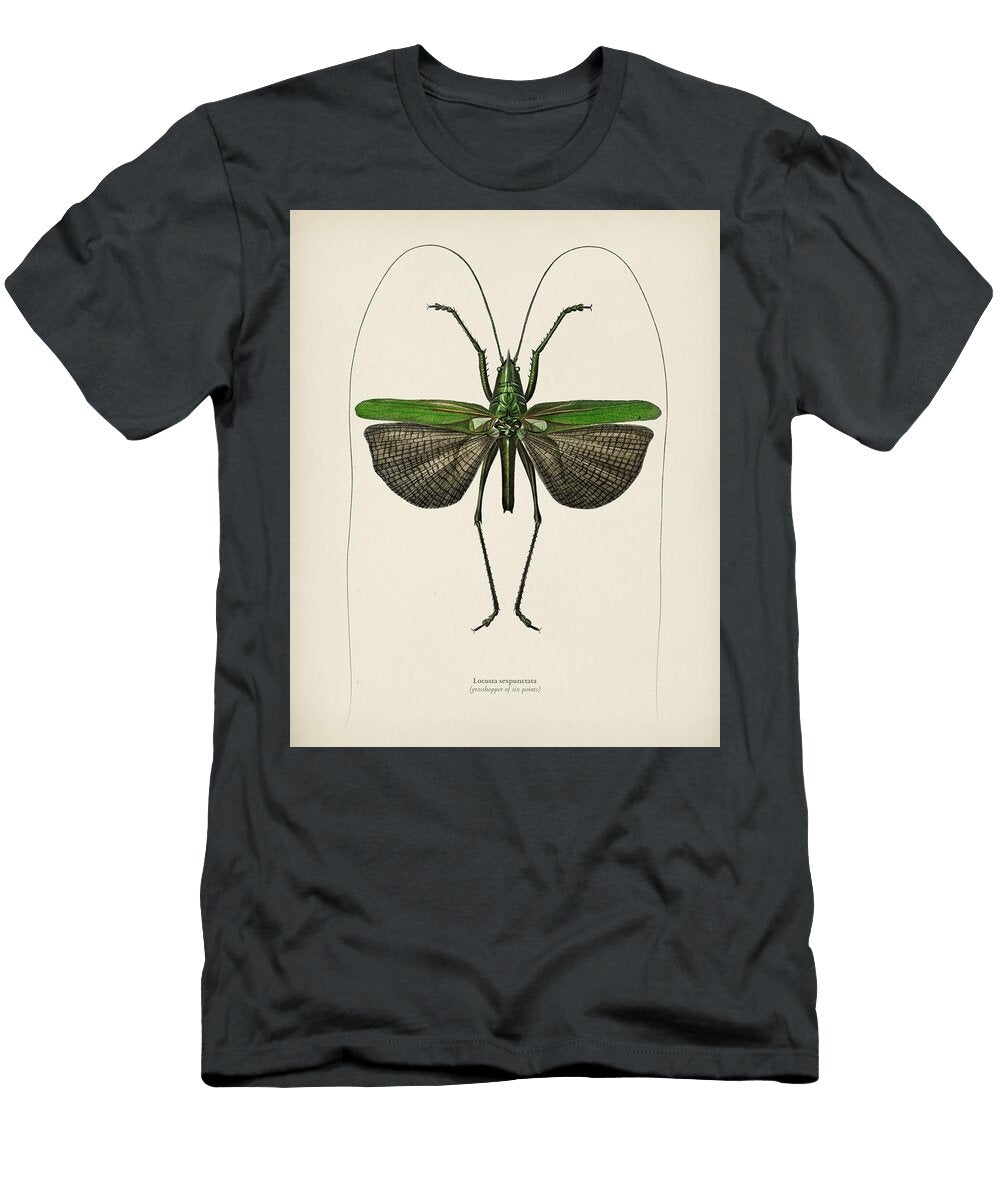 Grasshopper of Six Points Locusta Sexpunctata Illustrated By Charles Dessalines D Orbigny 1806 1 Celestial Images T-Shirt