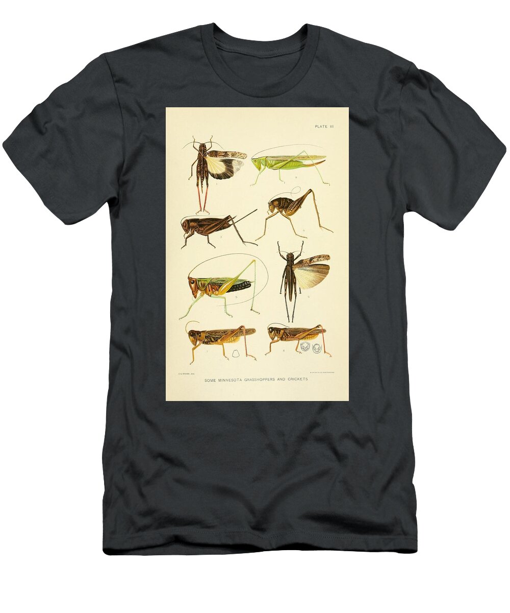 Grasshoppers Crickets Beautiful Nature Prints T-Shirt