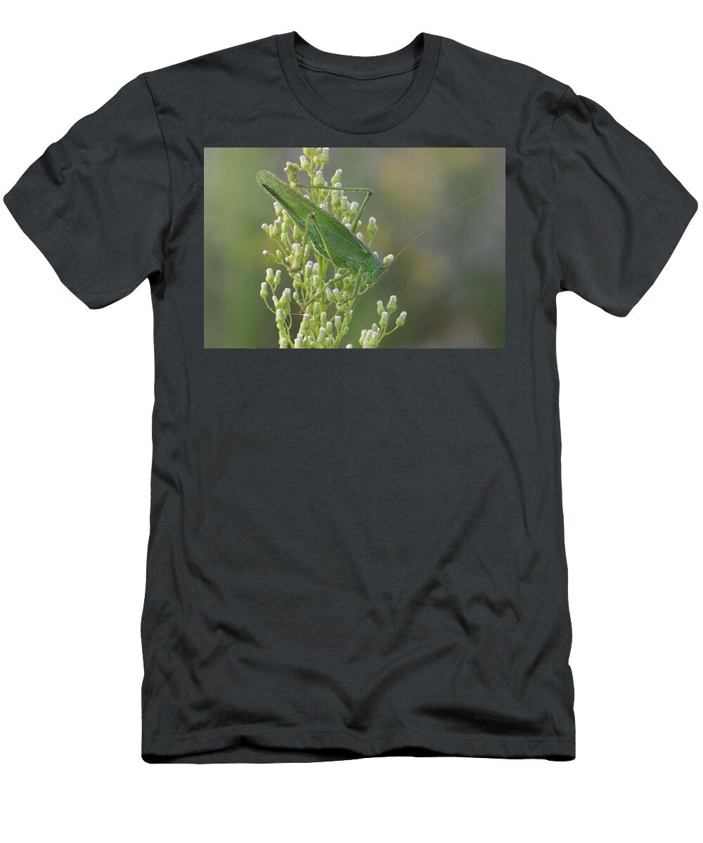 Great Green Bush Cricket Covered in Dew Droplets on Bernard Castelein Natureplcom T-Shirt
