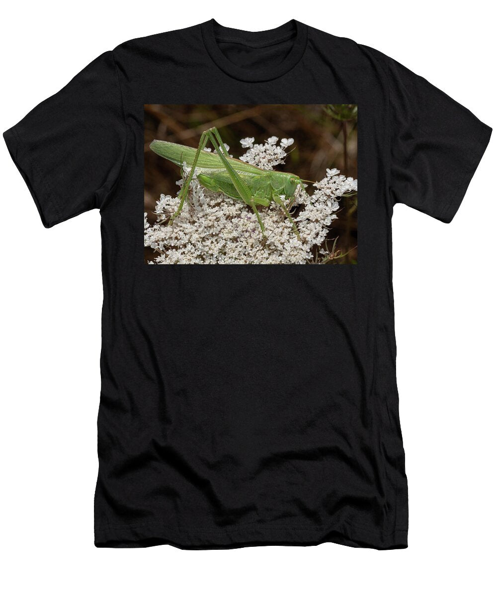 Great Green Bush Cricket Nymph Resting on Flowers Tolfa Paul Harcourt Davies Natureplcom T-Shirt