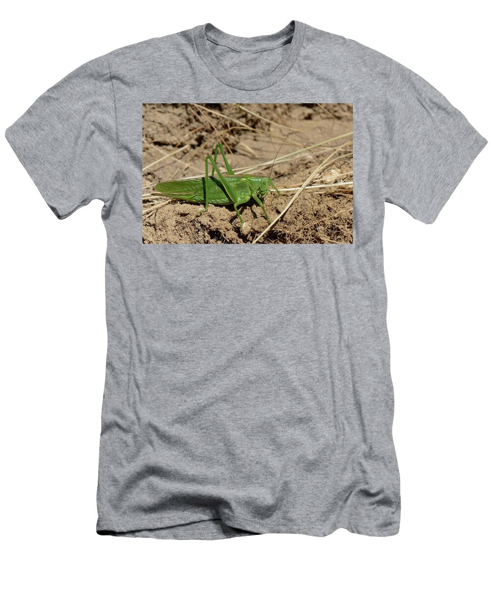 Great Green Bush Cricket on Roadside Verge Corfe Castle Nick Upton Natureplcom T-Shirt