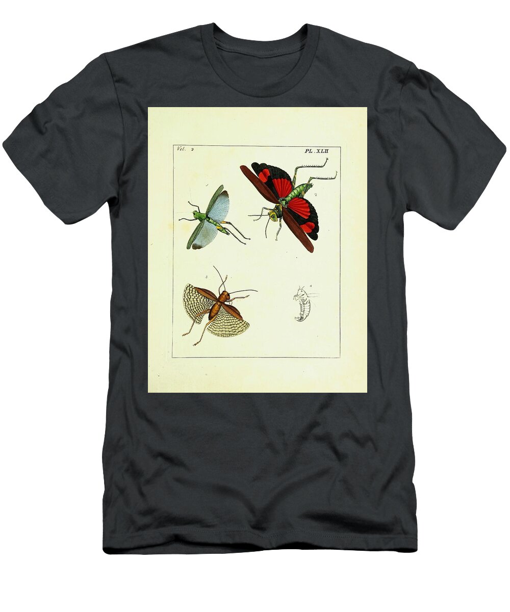 Gryllus Locust 2 Beautiful Nature Prints T-Shirt