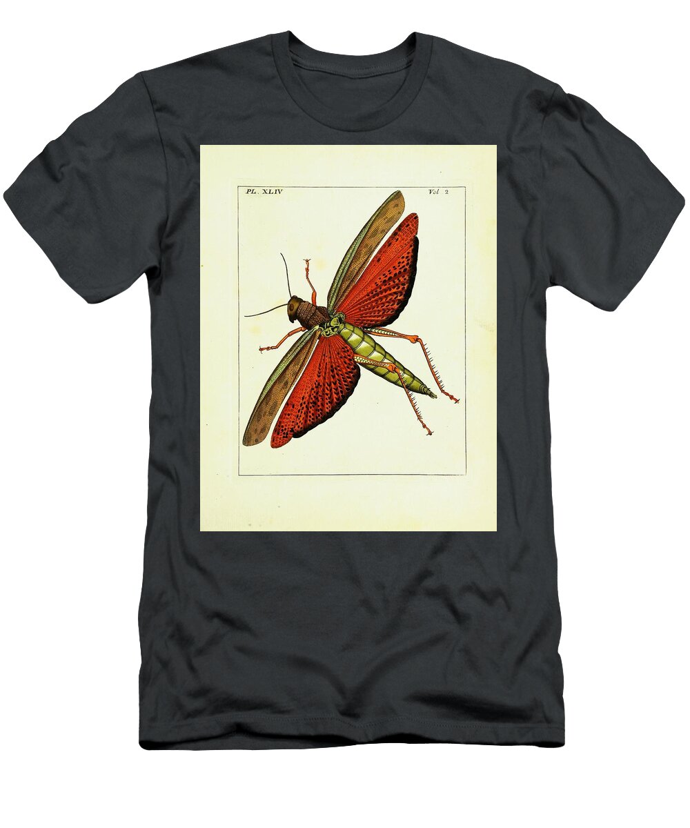 Gryllus Locust 3 Beautiful Nature Prints T-Shirt