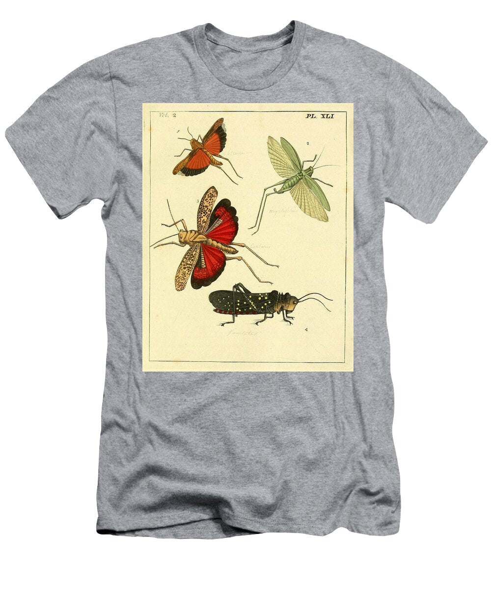 Gryllus Locust Beautiful Nature Prints T-Shirt