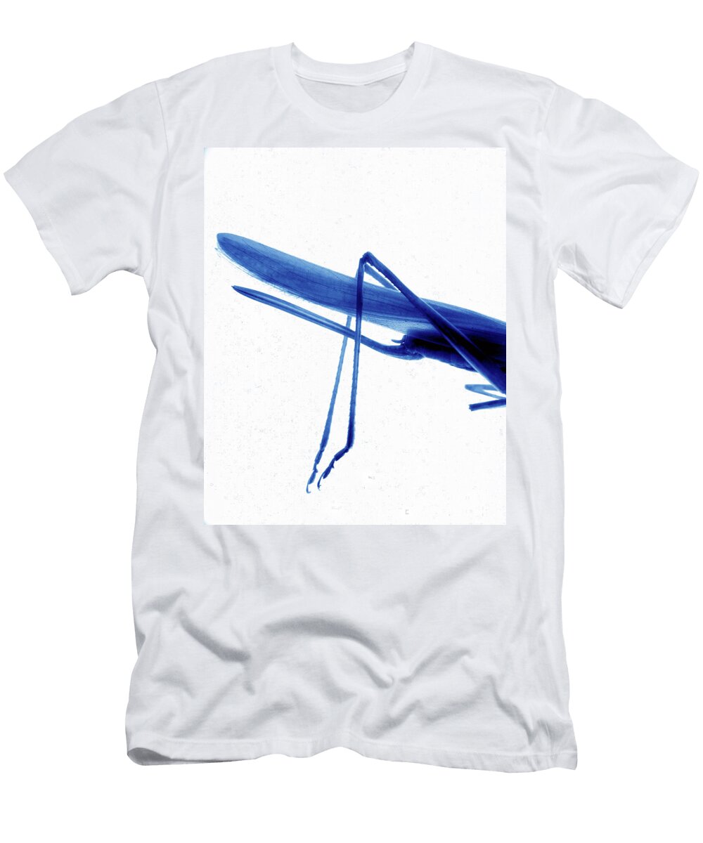 Half of a Cricket Body Daniel Lai T-Shirt