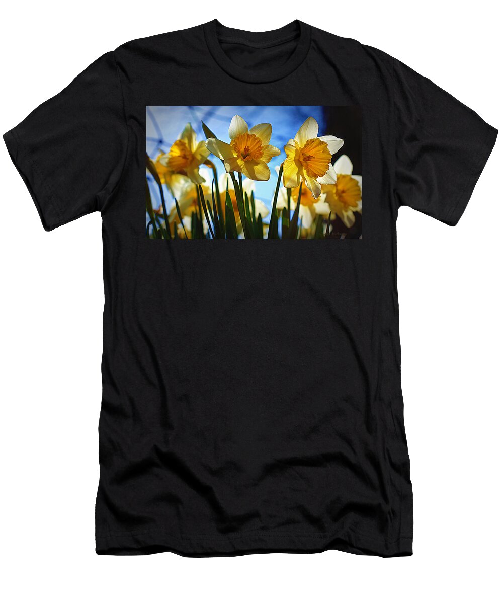 Hello Spring Cricket Hackmann T-Shirt