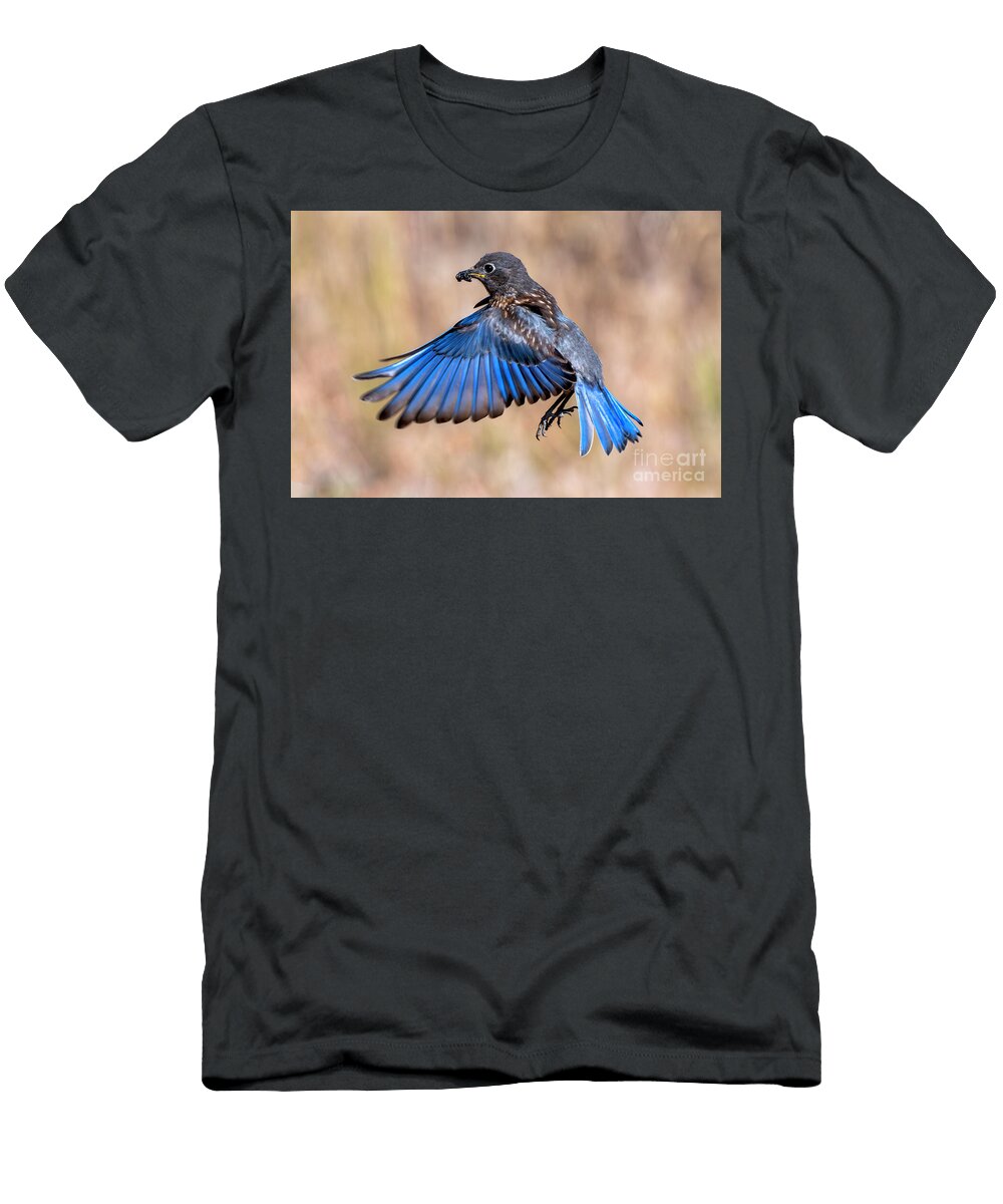 Hovering Juvenile Michael Dawson T-Shirt