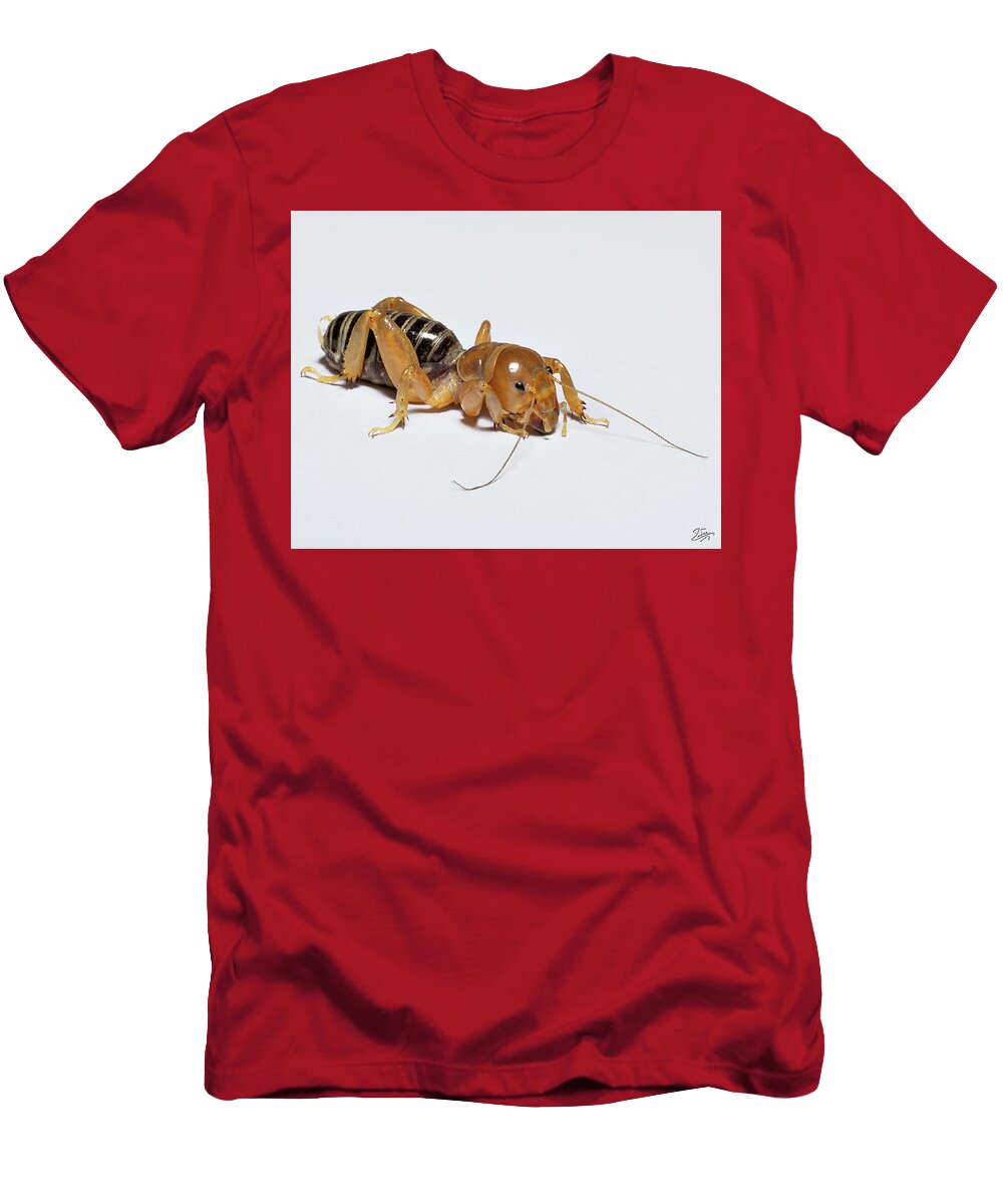 Jerusalem Cricket Endre Balogh T-Shirt